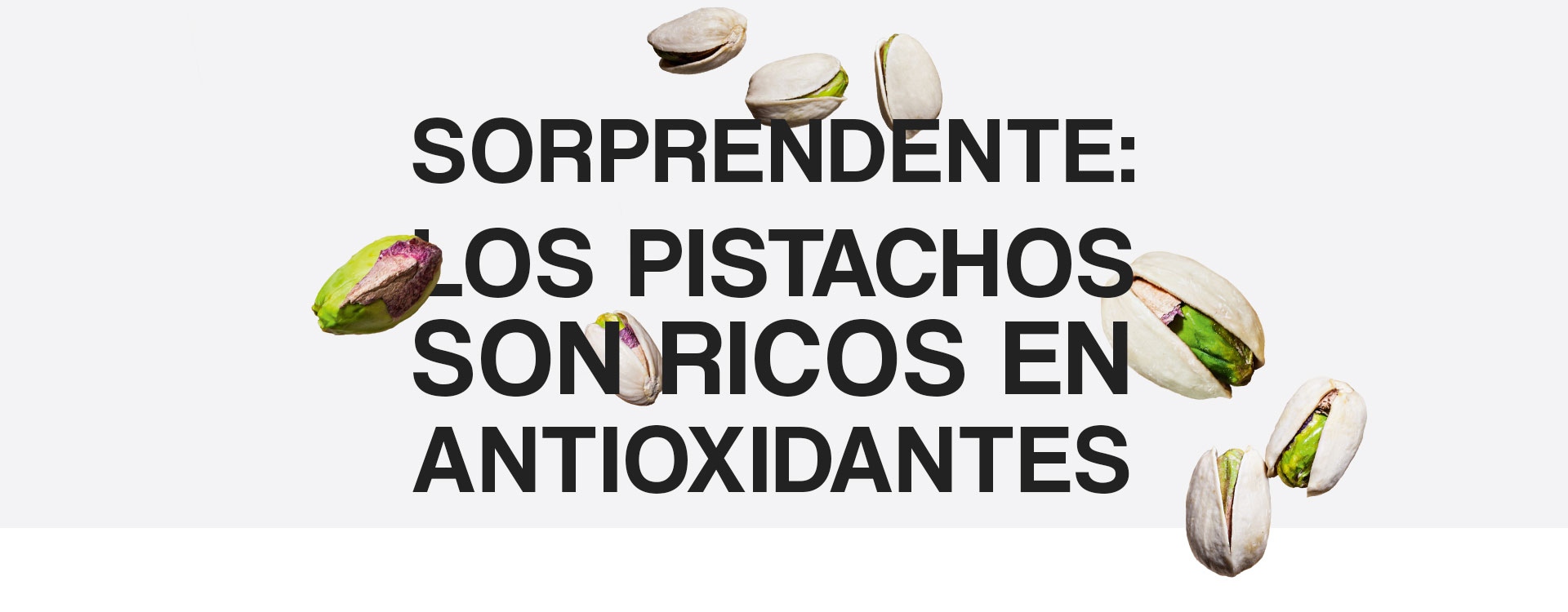 Antioxidant Powerhouse